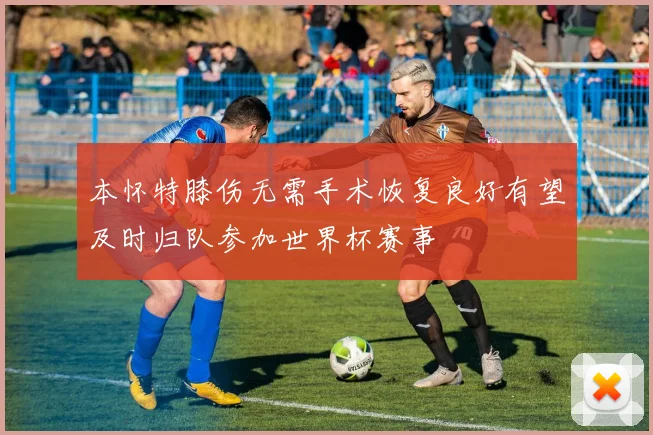 本怀特膝伤无需手术恢复良好有望及时归队参加世界杯赛事
